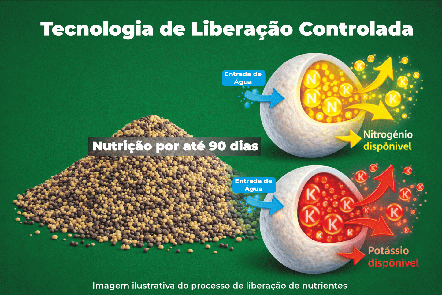 Adubo NPK 15-09-12 1kg Liberação Lenta 3 Meses – Fertilizante para Plantas, Jardim, Vasos, Orquídeas e Suculentas